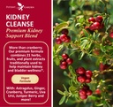 kidney-cleanse-detox-repair-with-chanca--2.jpg
