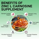 zinc-carnosine-capsules-for-stomach-supp-4.jpg