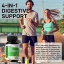 zinc-carnosine-capsules-for-stomach-supp-5.jpg