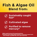 nature-made-omega-3-fish-oil-and-algae-o-3.jpg