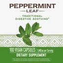 nature-s-way-peppermint-leaf-traditional-2.jpg