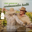 swanson-ubiquinol-100-mg-for-heart-healt-2.jpg