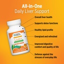 doctors-preferred-liver-revive-restore-1-4.jpg