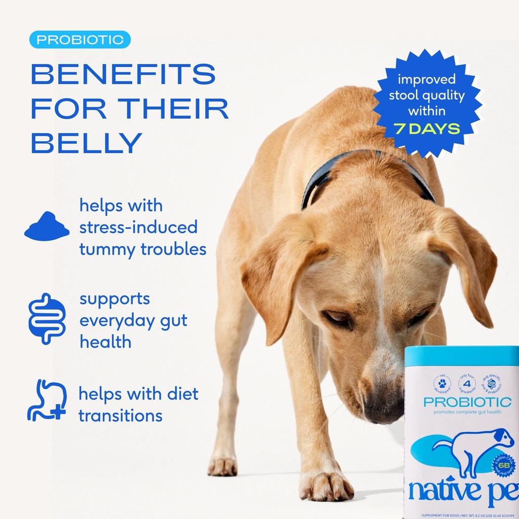 native-pet-probiotic-for-dogs-60-scoops--3.jpg