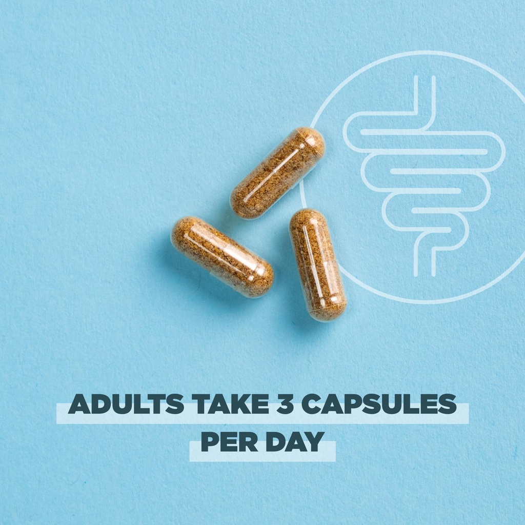 ancient-nutrition-gut-health-supplement--5.jpg