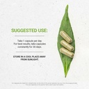 secrets-of-the-tribe-thyme-usda-organic--3.jpg