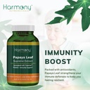 harmony-nutraceuticals-papaya-leaf-supre-4.jpg