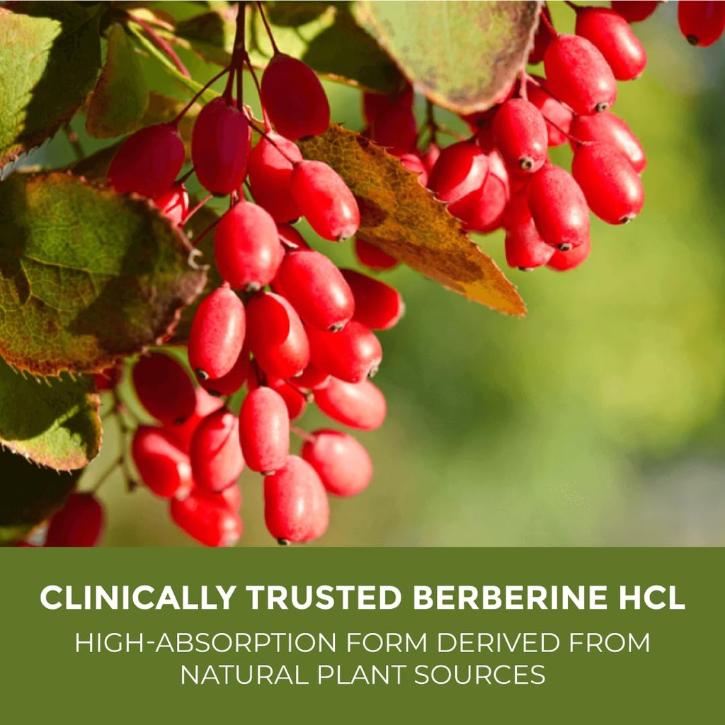 leaping-lynx-berberine-hcl-1200-mg-premi-2.jpg