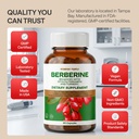 wonder-family-berberine-500-mg-glp-1-wei-6.jpg