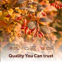 micro-ingredients-berberine-1000mg-with--5.jpg