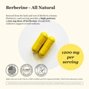 berberine-supplement-berberine-hcl-1200m-2.jpg