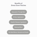 kind-patches-stress-down-patches-vitamin-2.jpg