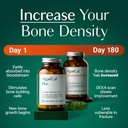 algaecal-bone-builder-pack-plant-based-c-2.jpg