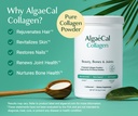 algaecal-collagen-peptides-powder-multi--4.jpg