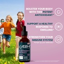 e2h-elderberry-syrup---powerfull-antioxi-2.jpg