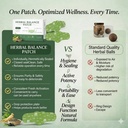 japanese-herbal-balance-patch-snatch-pat-5.jpg