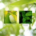 nature-s-sunshine-papaya-mint-chewable-t-4.jpg
