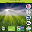 barley-grass-juice-powder-and-atlantic-d-4.jpg