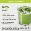 numami-barley-grass-juice-powder-and-wil-5.jpg