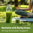 unleash-d-organic-barley-grass-powder-16-4.jpg