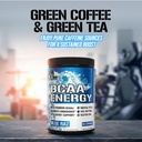 evl-bcaas-amino-acids-powder-bcaa-energy-2.jpg