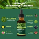 cleavers-herb-extract-organic-drops-for--3.jpg