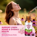 lymphatic-drainage-supplements-drops-for-4.jpg