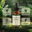 lymphatic-drainage-drops-lymphatic-syste-5.jpg