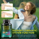 lymphatic-drainage-supplements-lymphatic-4.jpg