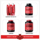 musclemeds-amino-decanate-citrus-lime135-5.jpg