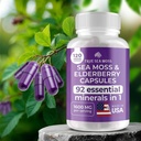 trueseamoss-irish-sea-moss-capsules---12-3.jpg