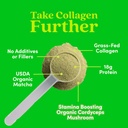 further-food-matcha-collagen-peptides-po-3.jpg