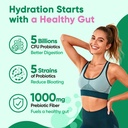 venture-pal-2-in-1-hydration-packets-gut-5.jpg