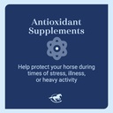 smart-simple-vitamin-e-pellets-horse-sup-5.jpg