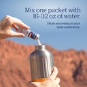 trace-minerals-zerolyte-salty-berry-lemo-4.jpg