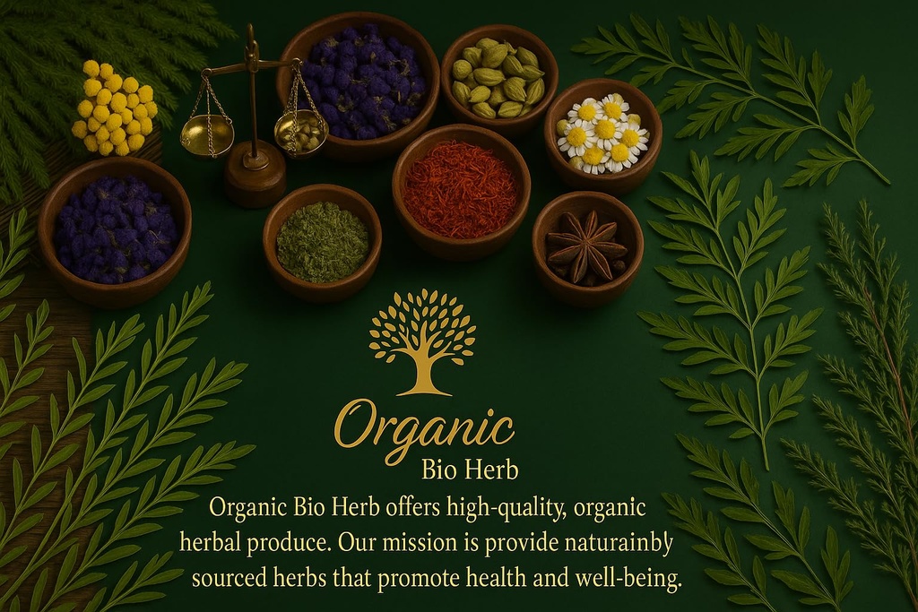 organic-bio-herbs-organic-dried-arnica-m-6.jpg