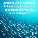 garden-of-life-oceans-mom-prenatal-fish--6.jpg