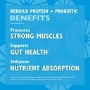 celebrate-vitamins-rebuild-protein-powde-6.jpg
