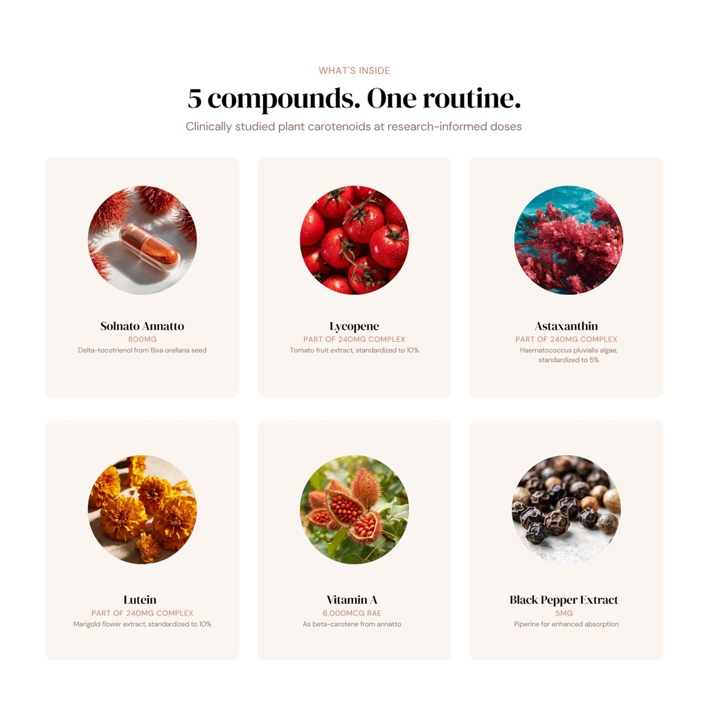 bronzebody-daily-photonutrition-1-month--3.jpg