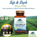 pure-mountain-botanicals-broken-cell-wal-3.jpg