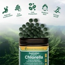biogenesis-organic-algae-powerhouse-set--5.jpg