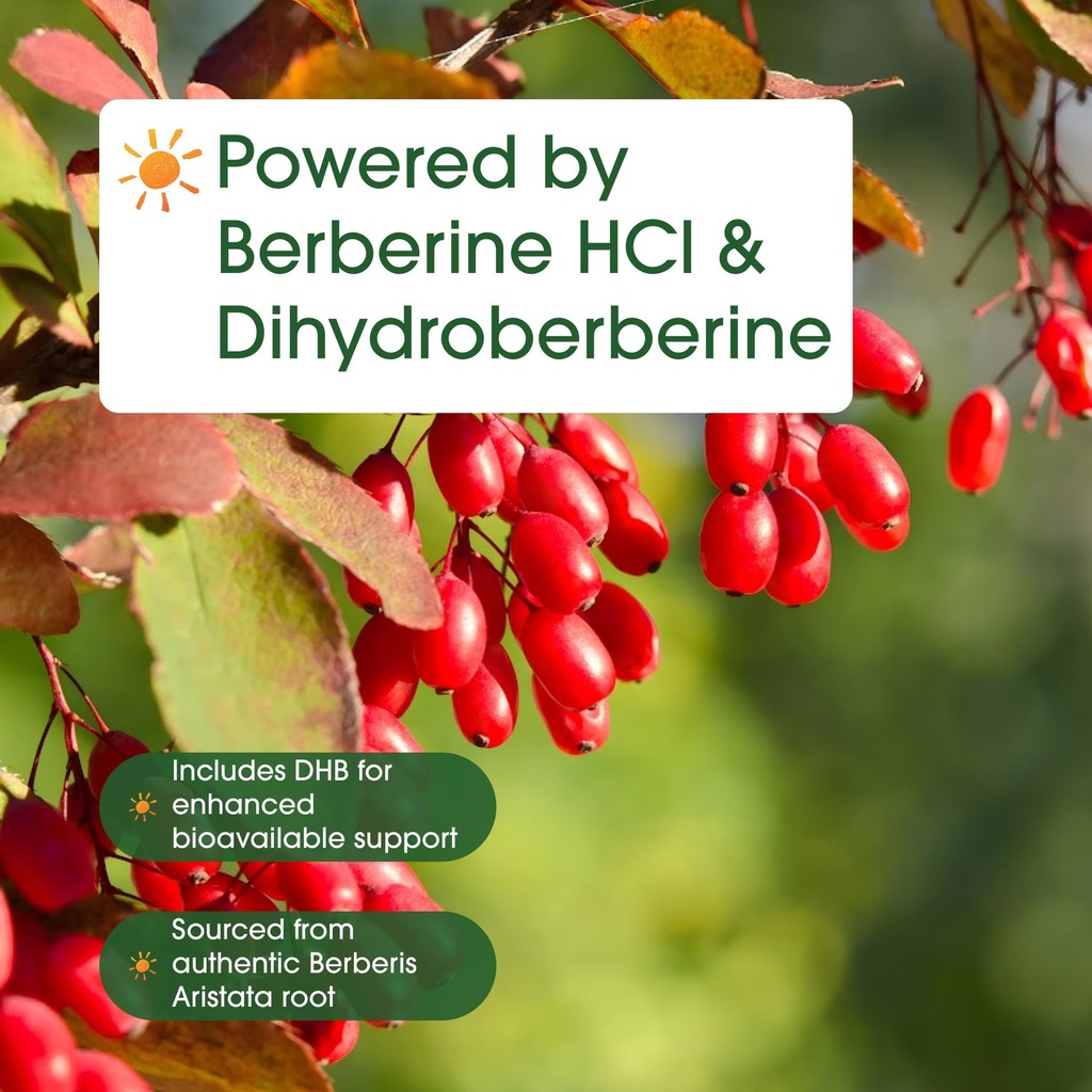 naturebell-dihydroberberine-with-berberi-6.jpg