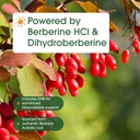 naturebell-dihydroberberine-with-berberi-6.jpg