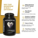 intelligent-labs-berberine-hcl-plus-max--3.jpg