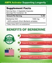 asquared-nutrition-pure-berberine-1000mg-4.jpg