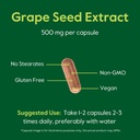 bestvite-grape-seed-extract-500mg-120-ve-6.jpg