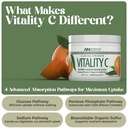 american-nutriceuticals-vitamin-c-powder-2.jpg