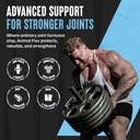 animal-flex-powder-joint-support-supplem-3.jpg