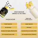 omega-3-new-zealand-green-lipped-mussel--4.jpg