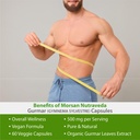 gymnema-sylvestre-gurmar-capsules-suppor-4.jpg